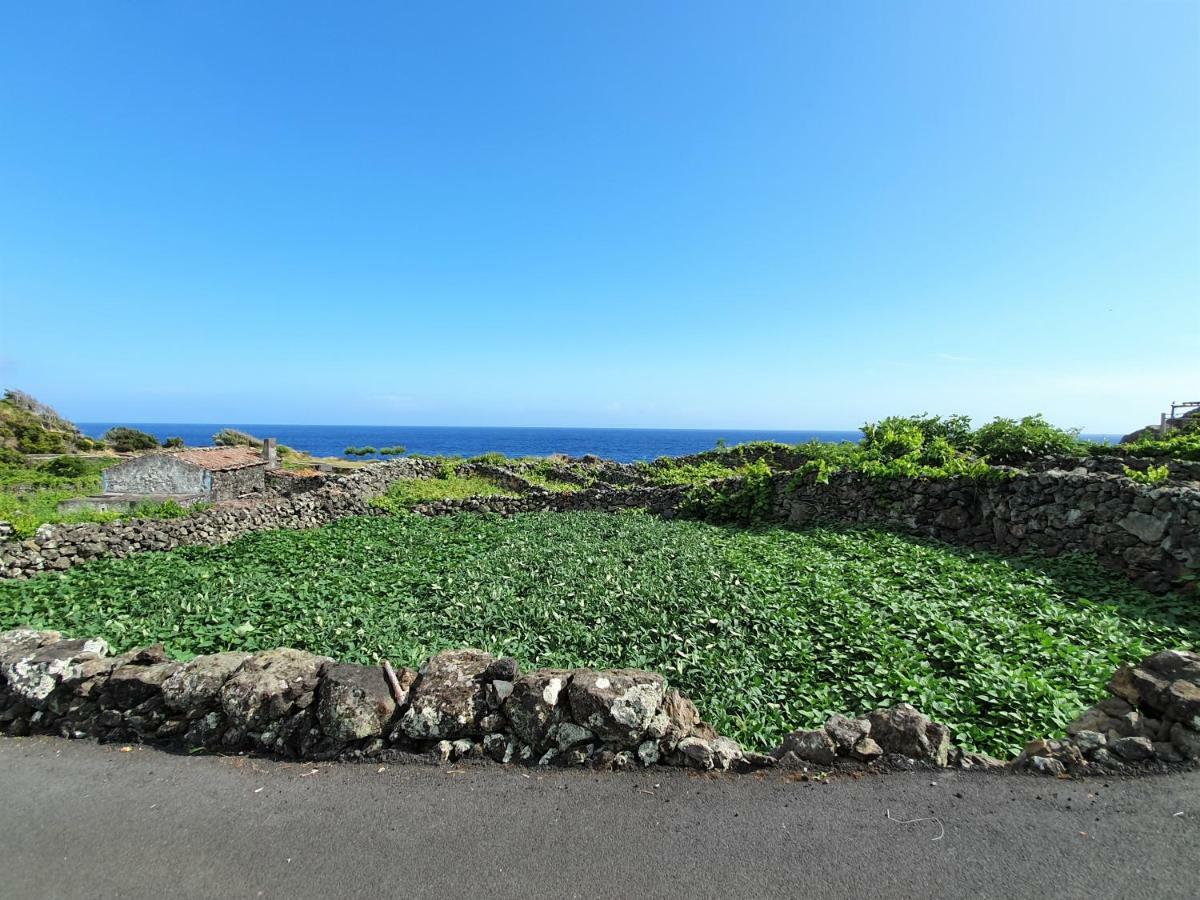 Casinha De Nesquim Villa Calheta de Nesquim Exterior foto